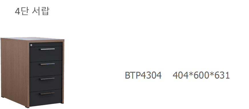 6 BTP4304