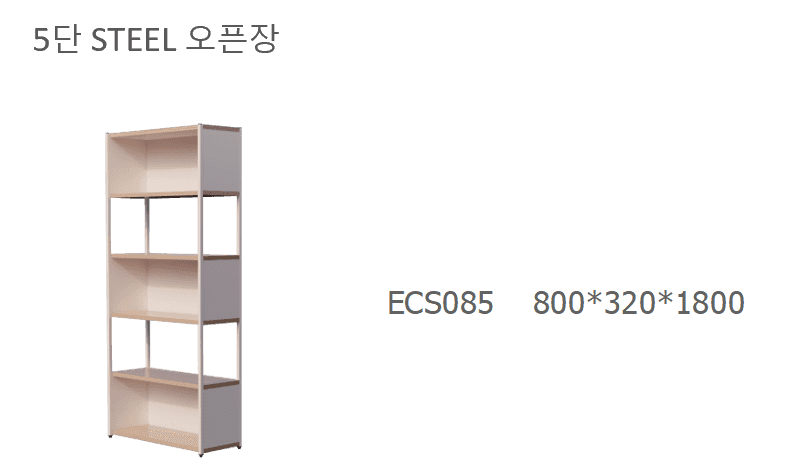 4 ECS085